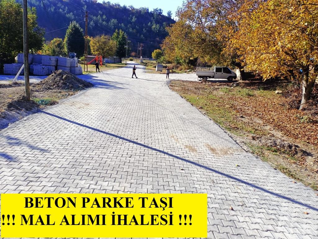 BETON PARKE TAŞI (GRİ RENKLİ (...)